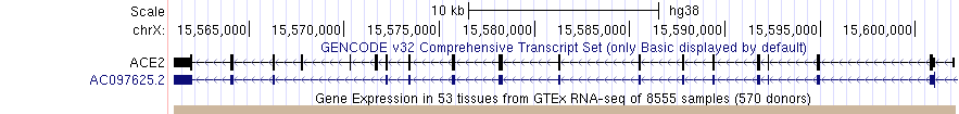 BarChart example in squish mode