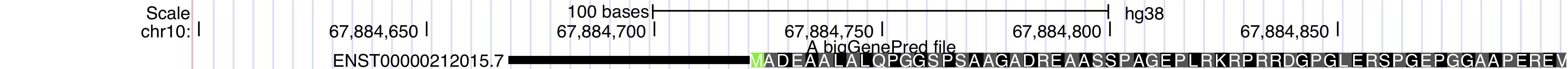 An image of a track with codons colored