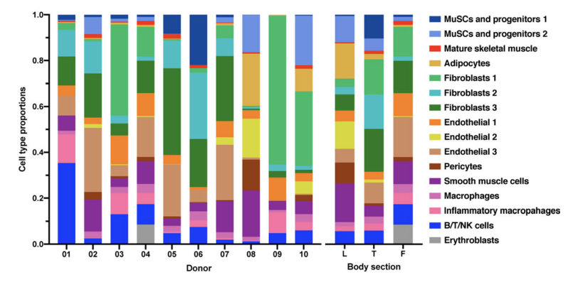 Cell Type Proportions